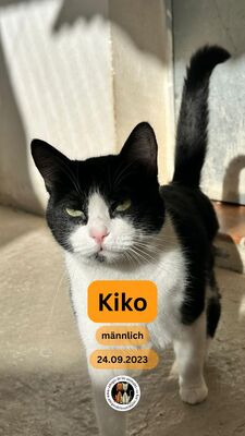 Kiko