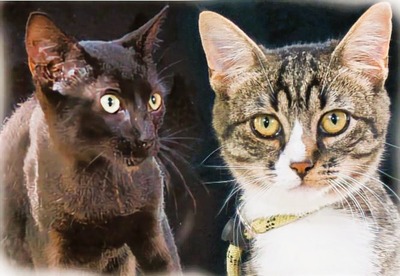 Kim und Kris - zwei Glückskinder