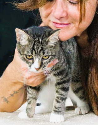 Kim und Kris - zwei Glückskinder, Mix - Kater