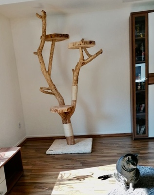 Kratzbaum aus Vollholz by CATNATURE