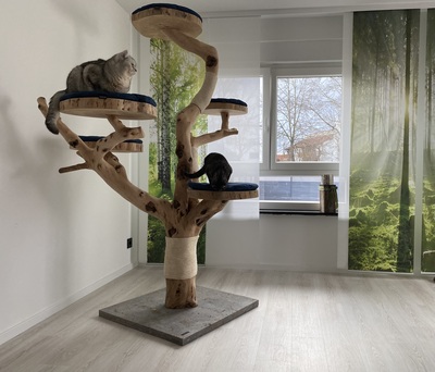 Kratzbaum aus Vollholz by CATNATURE