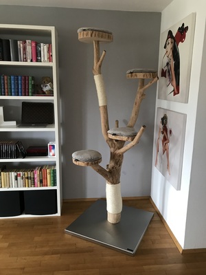Kratzbaum aus Vollholz by CATNATURE