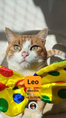 Leo