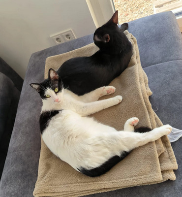 Lica - zusammen mit Freundin Ronda