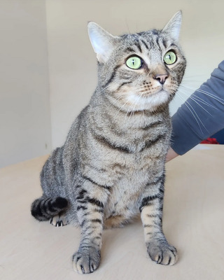 Liebenswerter Bastian auf der dringenden Suche nach seinem Glück