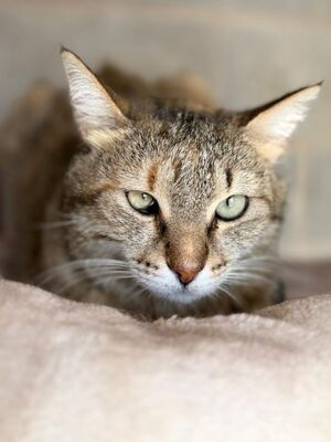 Lola (geb. Sep. 24)