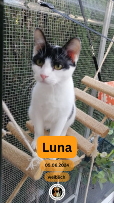 Luna