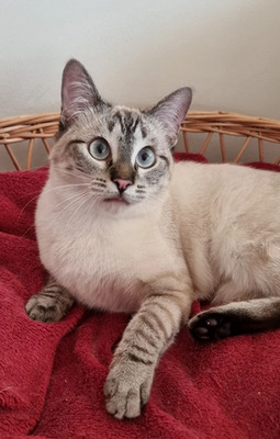 Mira + Marlene: Soooooooo süß