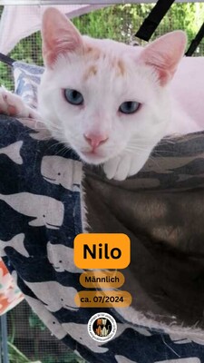 Nilo