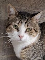 Odin geb Januar 2020 - Notfall