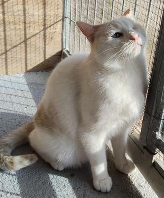 One - einäugige Schönheit