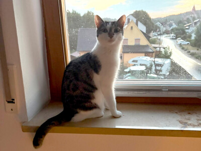 Polly und Luna