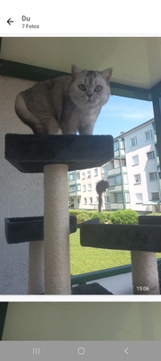 Rambo Bkh Kater, BKH - Kater