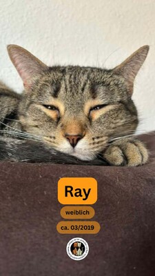Ray