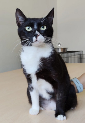 Ronda - zusammen mit Freundin Lica