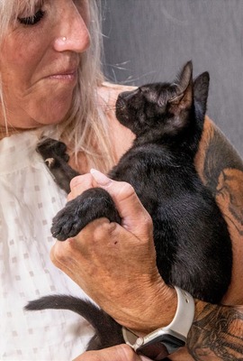 Samira - herzallerliebstes Kätzchen, Mix Jungtier - Katze
