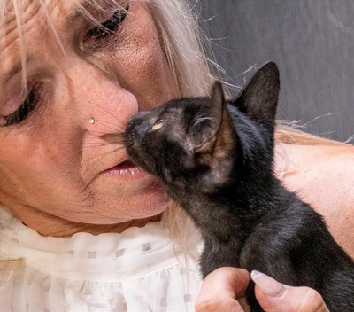 Samira - herzallerliebstes Kätzchen, Mix - Katze