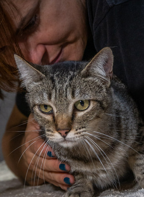 Skali - ein bildhübscher Kater, Mix - Kater