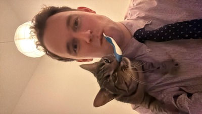 Suske und Wiske, Sie waren Fundtiere von einem Tierheim - Katze