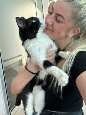 Thomas, Mischling - Kater