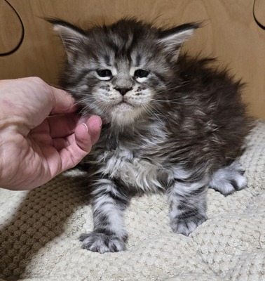 Tom Cruise  und Bruce Willis