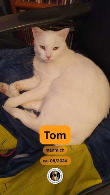 Tom