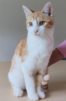 Valerian, der Schmuser kommt mit Lenny