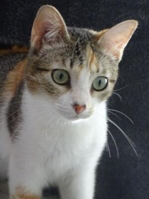 Vanesa geb. März 25 - PS in 82152 Martinsried