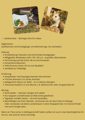 Goldhamster Jungtier - unbekannt