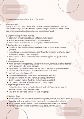 Goldhamster Jungtier - unbekannt