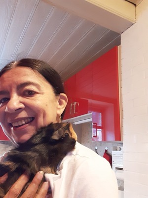 Joppy, Belgische Riesen - weiblich