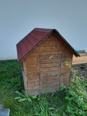 Josi und Sally, Deutsche Riesen grau - weiblich