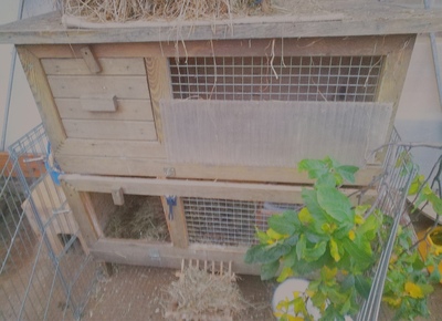 Kaninchen Meerschweinchen Doppel Außenstall Massiv Holz 2 Etagen u. a. Kleintier Zubehör 4
