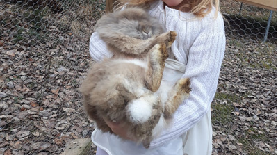 Milli und Kristina, Angora - weiblich