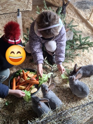 Zucht- und Fleischhasen (Deutsche Riesen), Hasen Jungtier - unbekannt