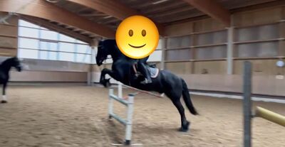 Betto, Friese - Wallach