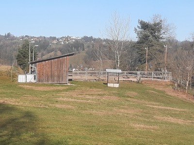 Einstellplatz mit Offenstallhaltung verfügbar - westl. v. Graz