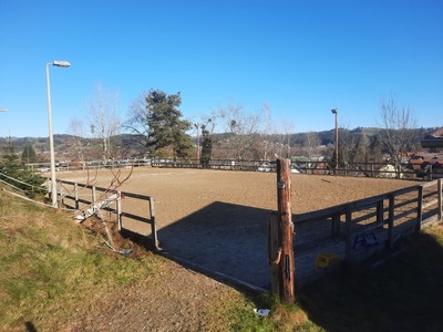 Einstellplatz mit Offenstallhaltung verfügbar - westl. v. Graz