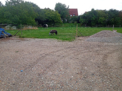 Stellplätze für Pferde, Ponys & Esel in Worms