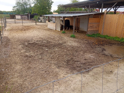 Stellplätze für Pferde, Ponys & Esel in Worms