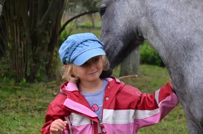 WPBR Welsh Part-Bred , weiße Stutfohlen Winone Alona, Welsh Part-Bred Fohlen - Stute