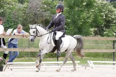 WPBR Welsh Part-Bred , weiße Stutfohlen Winone Alona, Welsh Part-Bred Fohlen - Stute