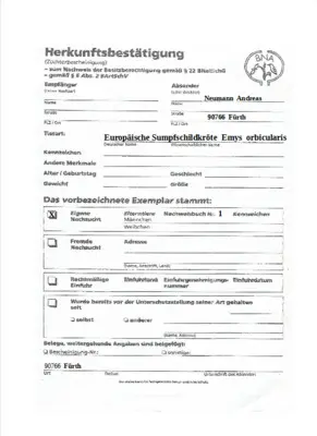 Europäische Sumpfschildkröte Jungtier - unbekannt