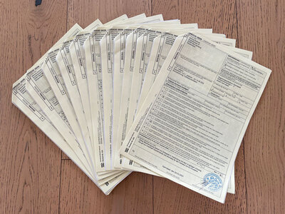 Griechische Landschildkröte Jungtier - unbekannt