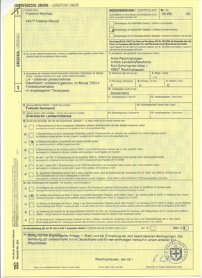 Griechische Landschildkröte Jungtier - unbekannt