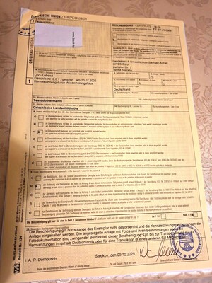 Griechische Landschildkröte Jungtier - unbekannt