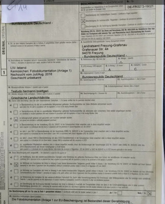 Griechische Landschildkröte - männlich