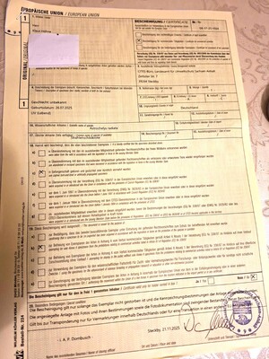 Strahlenschildkröte Astrochelys radiata Jungtier - unbekannt