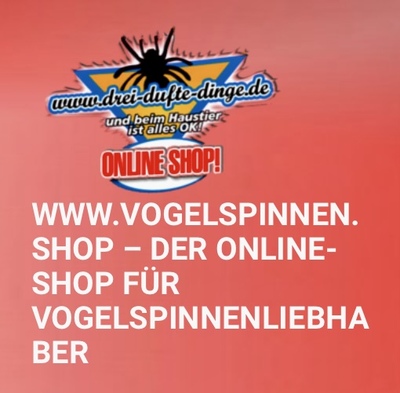 Vogelspinnen.Shop