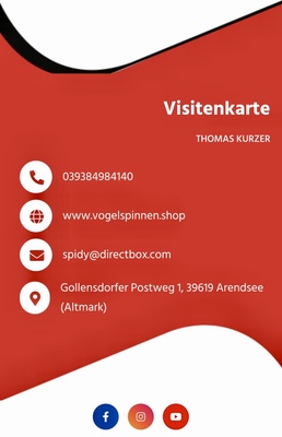 Vogelspinnen.Shop